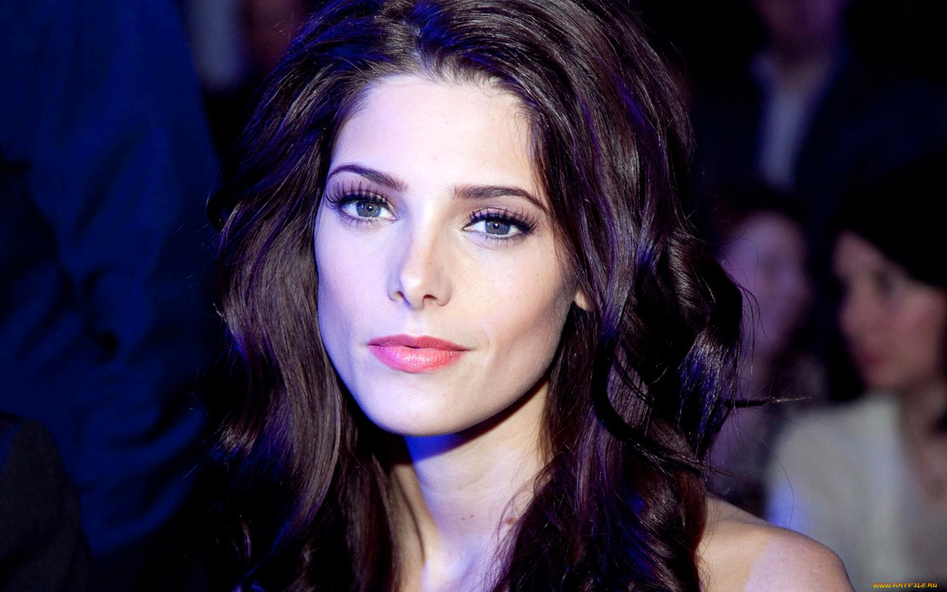 , ashley greene, , , 